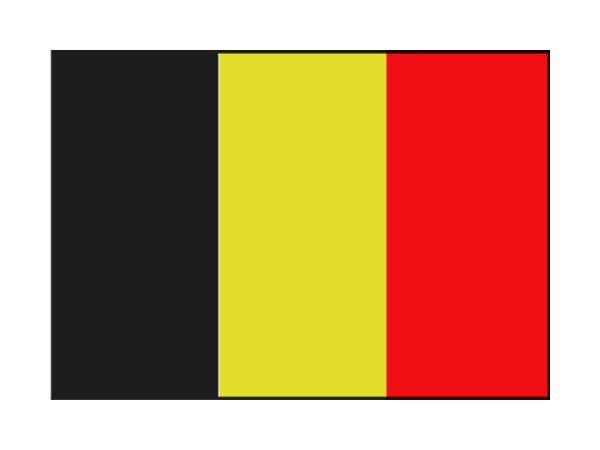 BELGISCHE VLAG 40X60