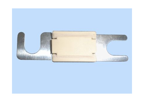 ANL zekering 250A