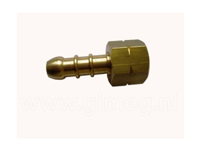 Gimeg slangpilaar met wartelmoer 1-4 inch links bi