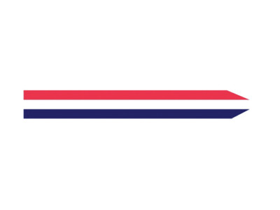 NEDERLANDSE WIMPEL 350 CM