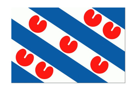 FRIESE VLAG 20X30