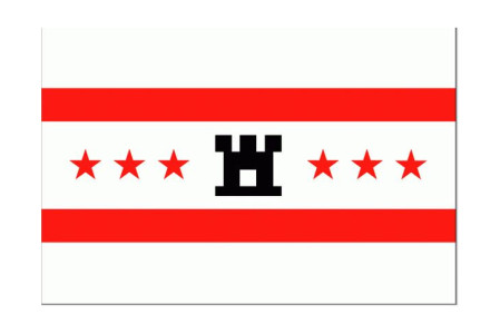 DRENTSE VLAG 20X30