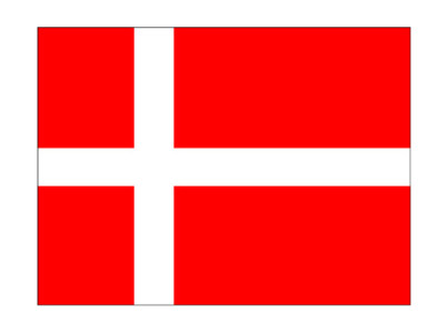 DEENSE VLAG 20X30
